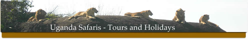 Uganda Safaris, Tours and Holidays in Uganda with Abacus Uganda Safaris
